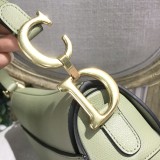 Dior Saddle3