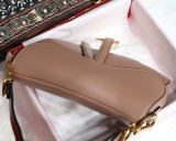 Dior Saddle28