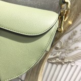 Dior Saddle3