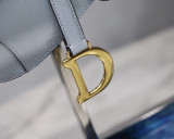 Dior Saddle27