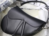 Dior Saddle15