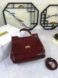 Dolce & Gabbana  33020419 size25X20X12cm
