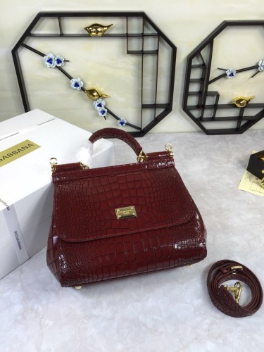 Dolce & Gabbana  33020419 size25X20X12cm