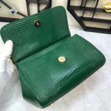 Dolce & Gabbana P30020419 20X17X7cm
