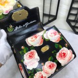 Dolce & Gabbana 45020419 size24x13x19