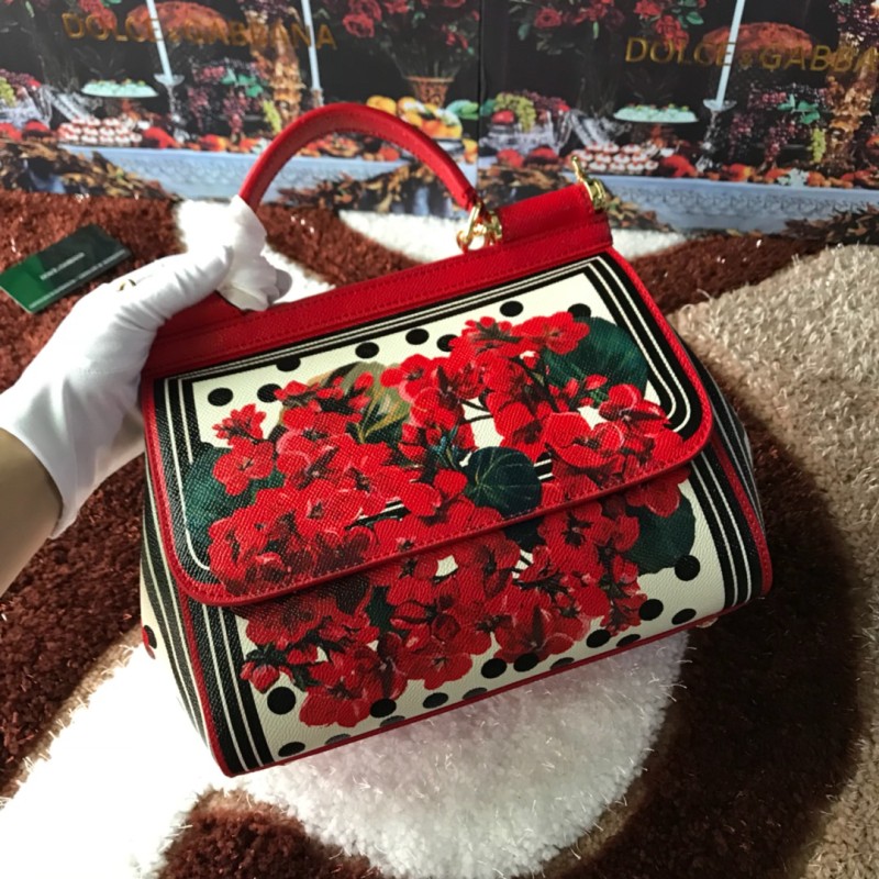 Dolce & Gabbana  33020419 size25X20X12cm