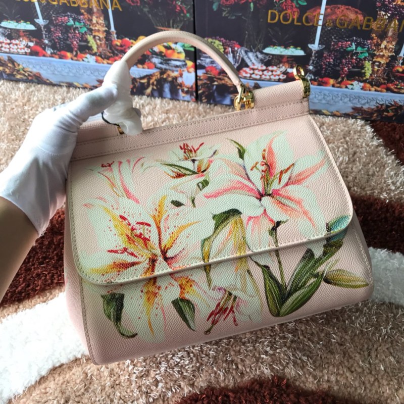 Dolce & Gabbana  33020419 size25X20X12cm