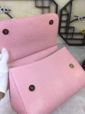 Dolce & Gabbana  33020419 size25X20X12cm