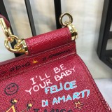 Dolce & Gabbana  33020419 size25X20X12cm