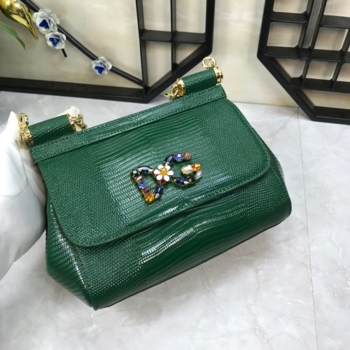 Dolce & Gabbana P30020419 20X17X7cm