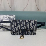 Borsa DIOR p350 Saddle  18,5x11x2cm