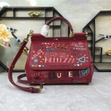 Dolce & Gabbana  33020419 size25X20X12cm
