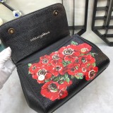 Dolce & Gabbana  33020419 size25X20X12cm