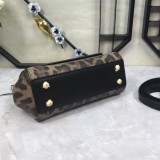 Dolce & Gabbana P30020419 20X17X7cm