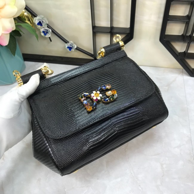 Dolce & Gabbana P30020419 20X17X7cm
