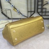 Dolce & Gabbana P32020419 25X20X12cm
