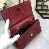 Dolce & Gabbana P30020419 20X17X7cm