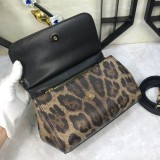 Dolce & Gabbana P30020419 20X17X7cm
