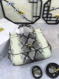 Dolce & Gabbana 20419360 26cm