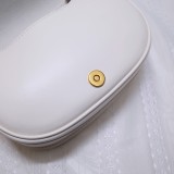 DIOR Bobby p780   30Monfaigne 18x14x5CM