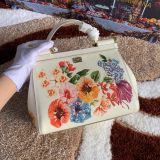 Dolce & Gabbana  33020419 size25X20X12cm