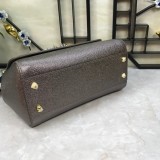 Dolce & Gabbana P32020419 25X20X12cm