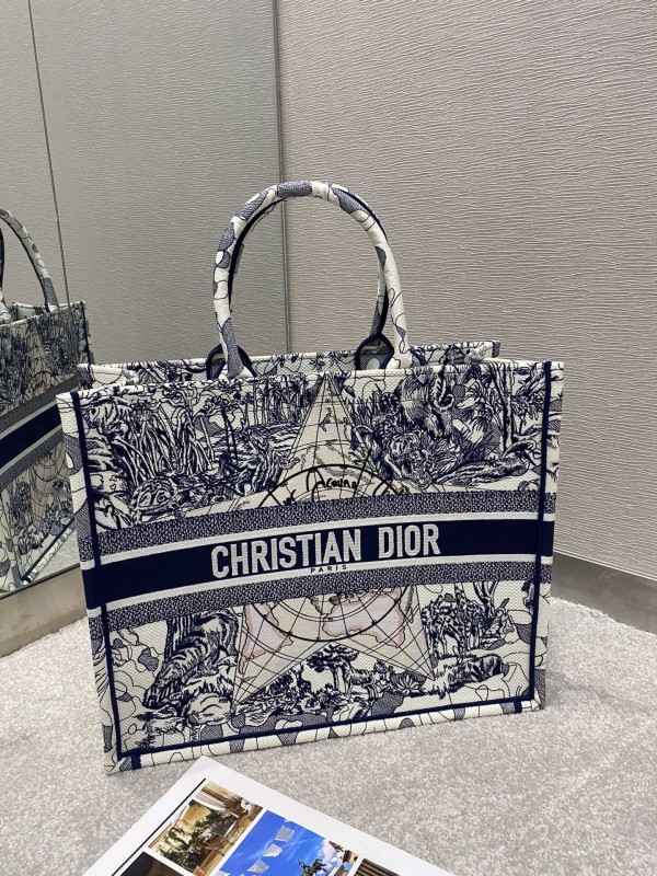 Dior Book Tote 36cm e 41cm28
