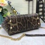 Dolce & Gabbana P32020419 25X20X12cm