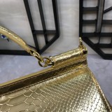 Dolce & Gabbana P36020419 25X20X12cm