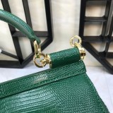 Dolce & Gabbana P30020419 20X17X7cm