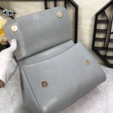 Dolce & Gabbana  33020419 size25X20X12cm