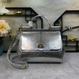 Dolce & Gabbana P36020419 25X20X12cm