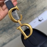Dior saddle