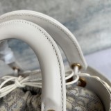 Lady Dior  24cm