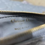 Dior Caro