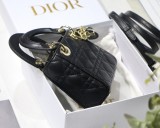 Dior Lady