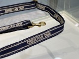 Dior Caro
