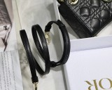Dior Lady