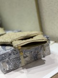 Dior Caro