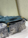 Dior Caro