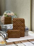 Dior Caro
