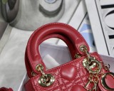 Dior Lady