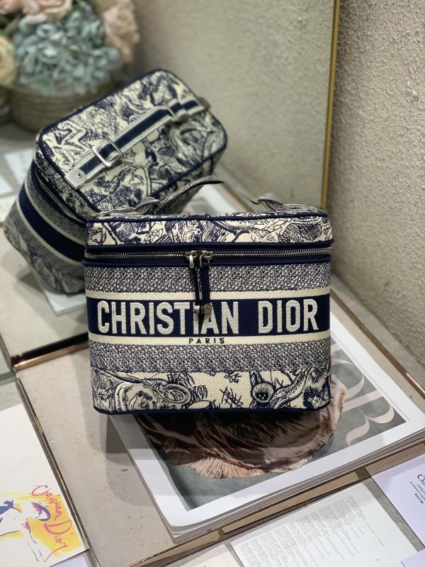 Dior oblique