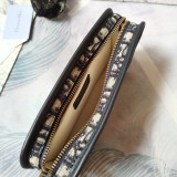 Dior Oblique