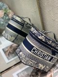 Dior oblique