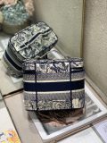 Dior oblique
