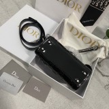 Dior Lady