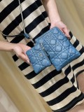 Dior Caro
