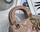 Dior Lady