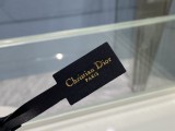 Dior Caro